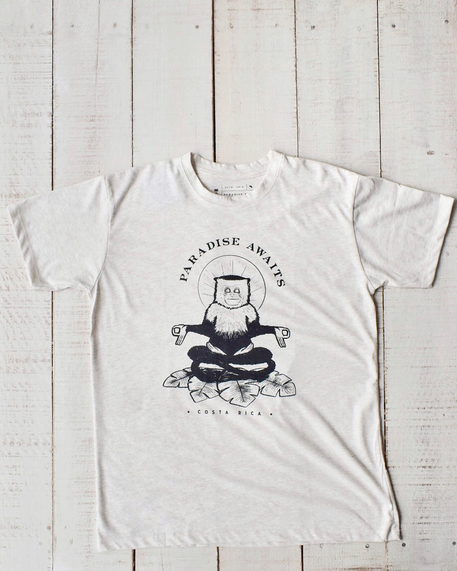 Paradise Awaits-Paradise Men's Tees