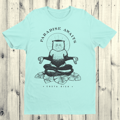 Paradise Awaits-Paradise Men's Tees