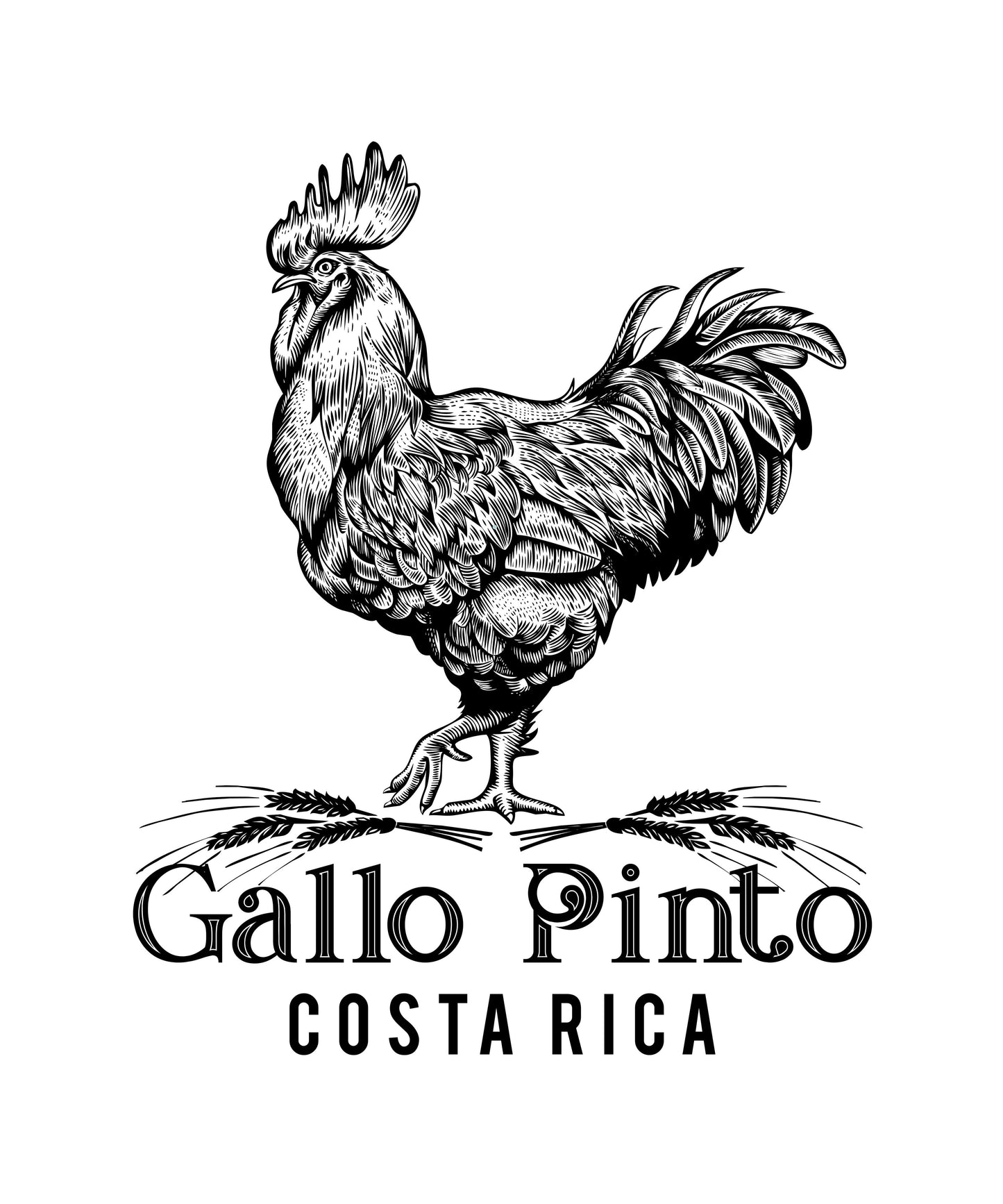 Gallo Pinto Sticker