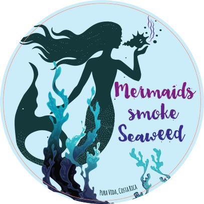Mermaid Seaweed Die-Cut Sticker - Slothtoescr